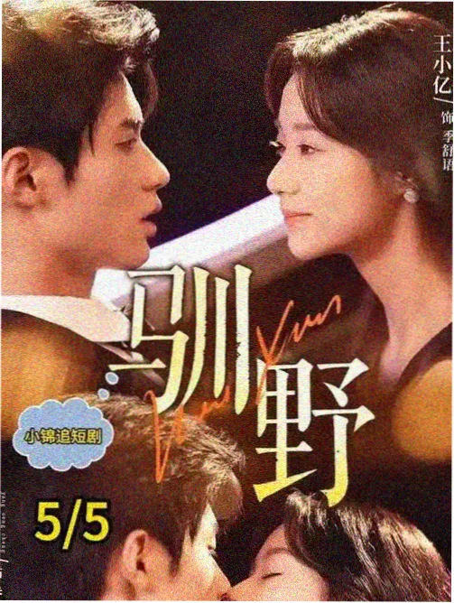 午夜档案馆悬疑剧在线观看